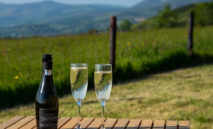 Prosecco and views